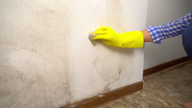 Biohazard Mold Removal in Fort Drum, NY